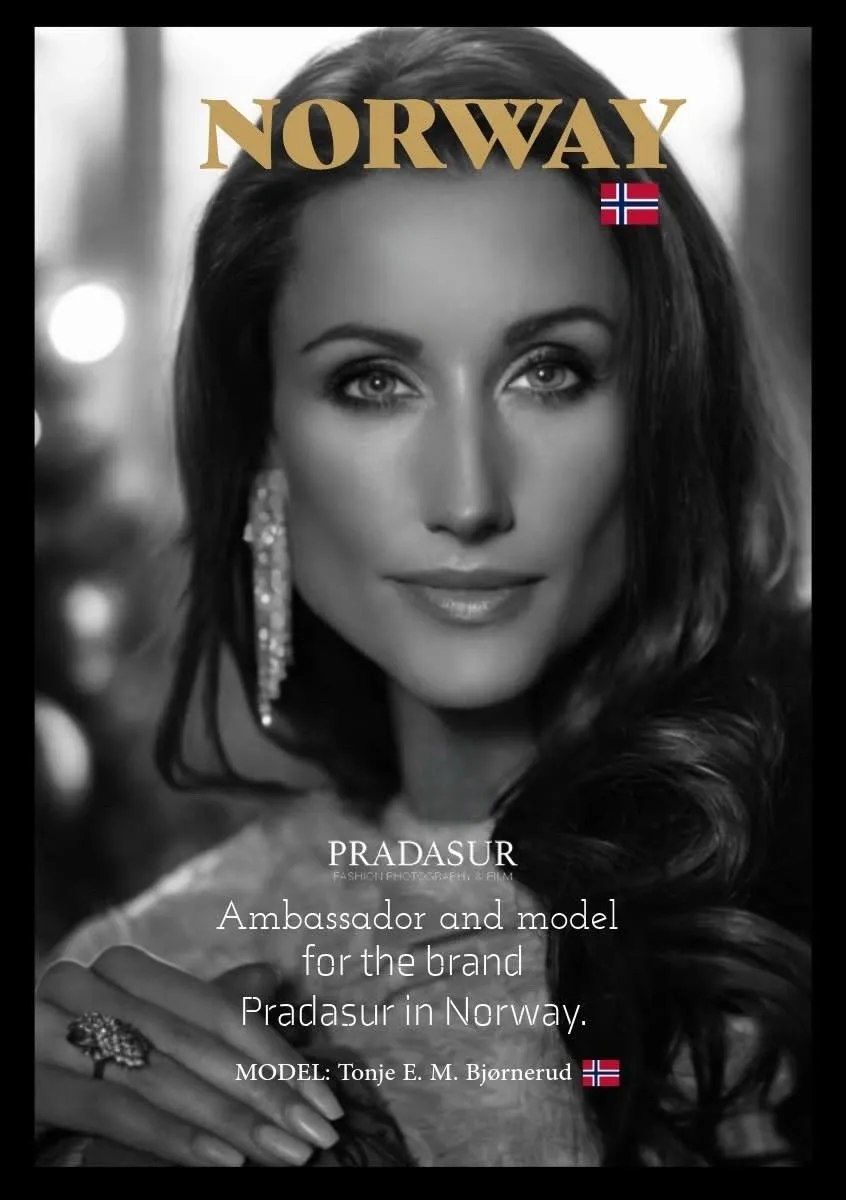 Nordè fra det eksisterende bildegalleriet